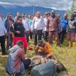 Ibu Hamil Tewas Bersama Bayi dalam Kandungan di Tengah Konflik Intan Jaya