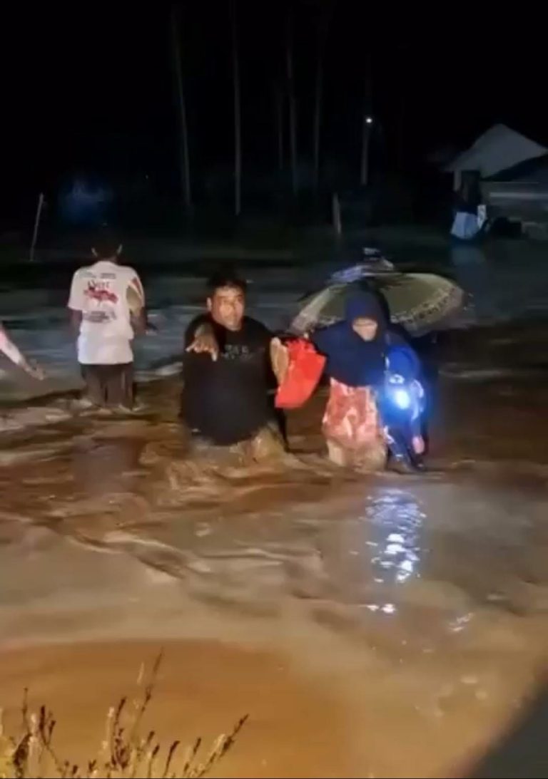 Gubernur Aceh Soroti Ilegal Logging Sebagai Penyebab Banjir