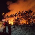 1.487 Hotspot Kepung Kalimantan, Kabut Asap Berdampak hingga Sarawak