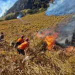 Kebakaran Bromo Meluas hingga 520 Hektare, Akses Wisata Ditutup Total