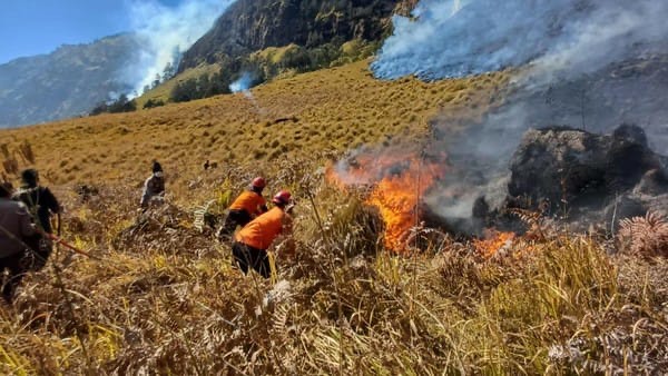 Kebakaran Bromo Meluas hingga 520 Hektare, Akses Wisata Ditutup Total