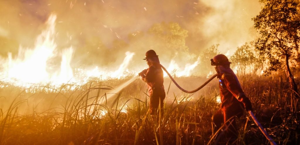 Petugas melakukan pemadaman dan penanganan kebakaran hutan dan lahan (karhutla) di area terdampak. (Sumber: wartaekonomi.co.id)
